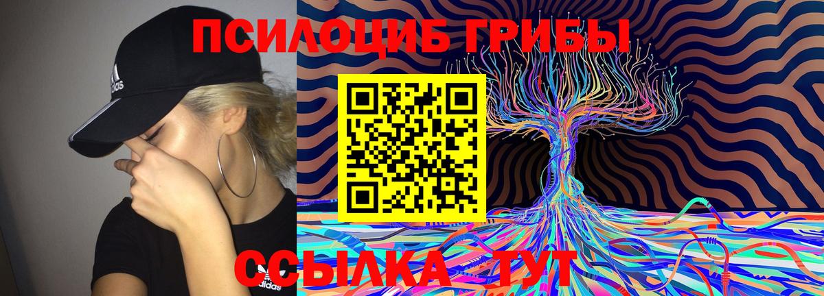 Галлюциногенные грибы Magic Shrooms  Вход с VPN  Удомля  Псилоцибиновые грибы Magic Shrooms 